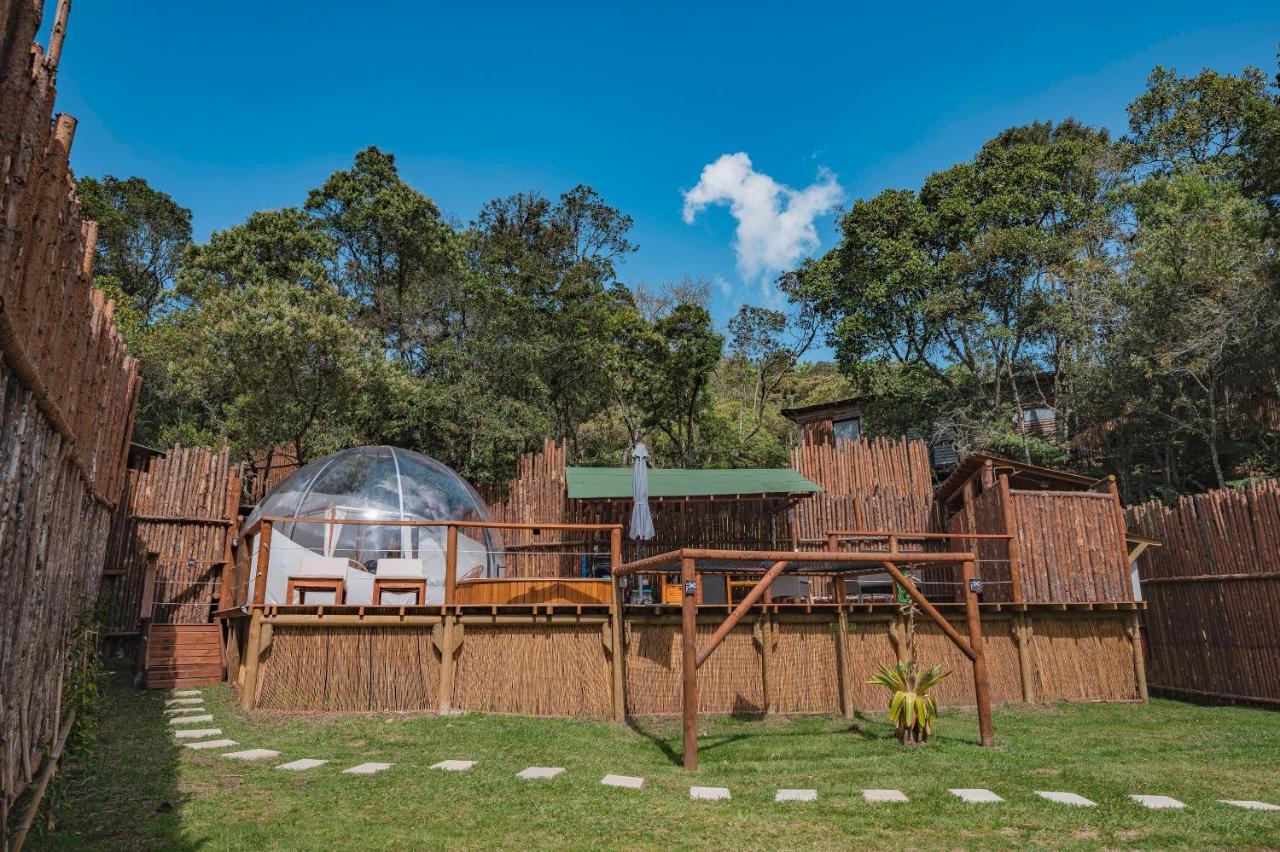 Luxury tent Bubblesky Glamping 15 Min From Medellin
