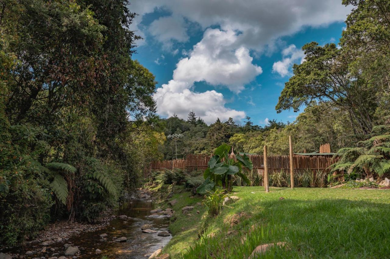 Luxury tent Bubblesky Glamping 15 Min From Medellin Rionegro