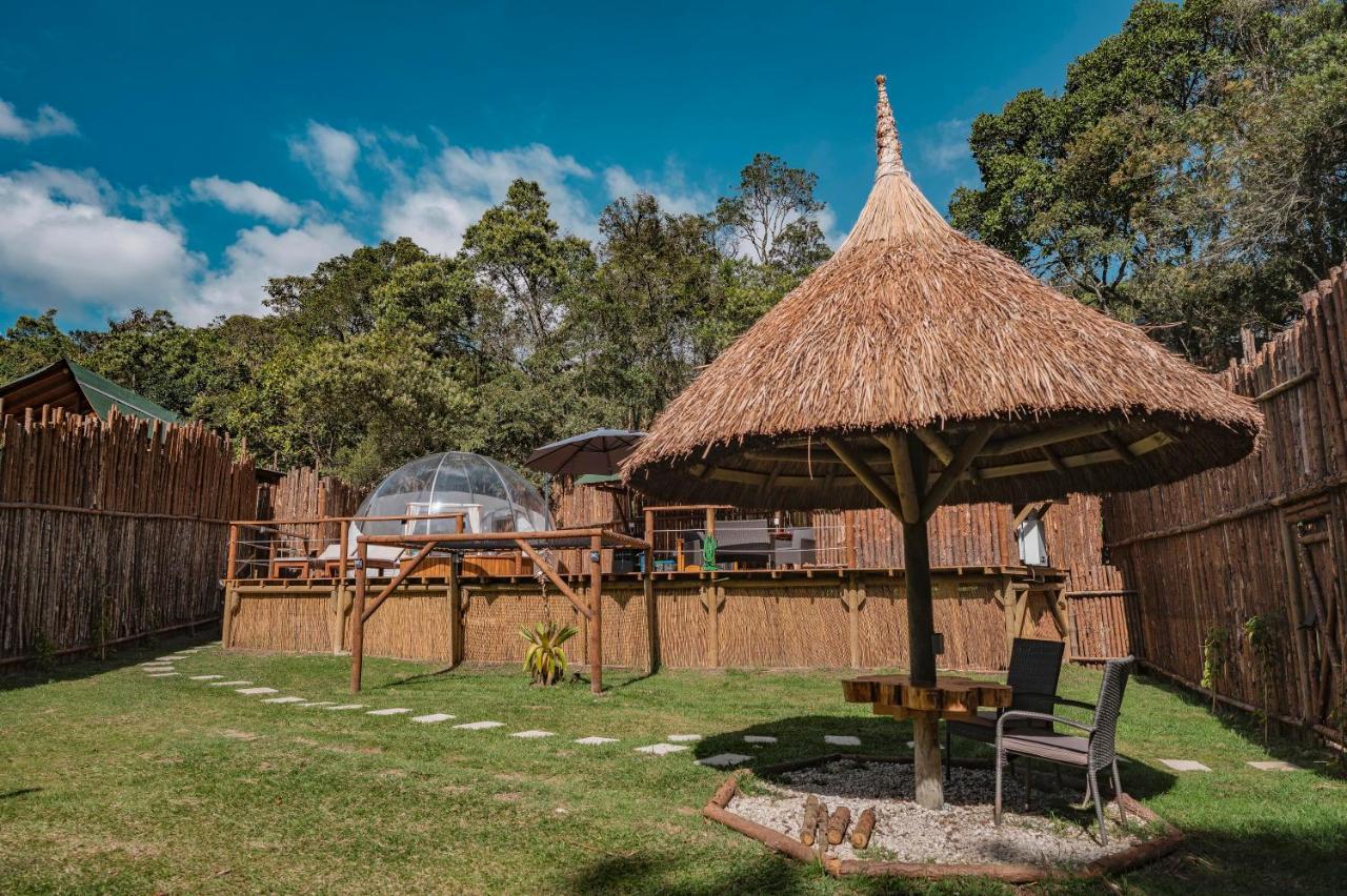 Bubblesky Glamping 15 Min From Medellin Rionegro