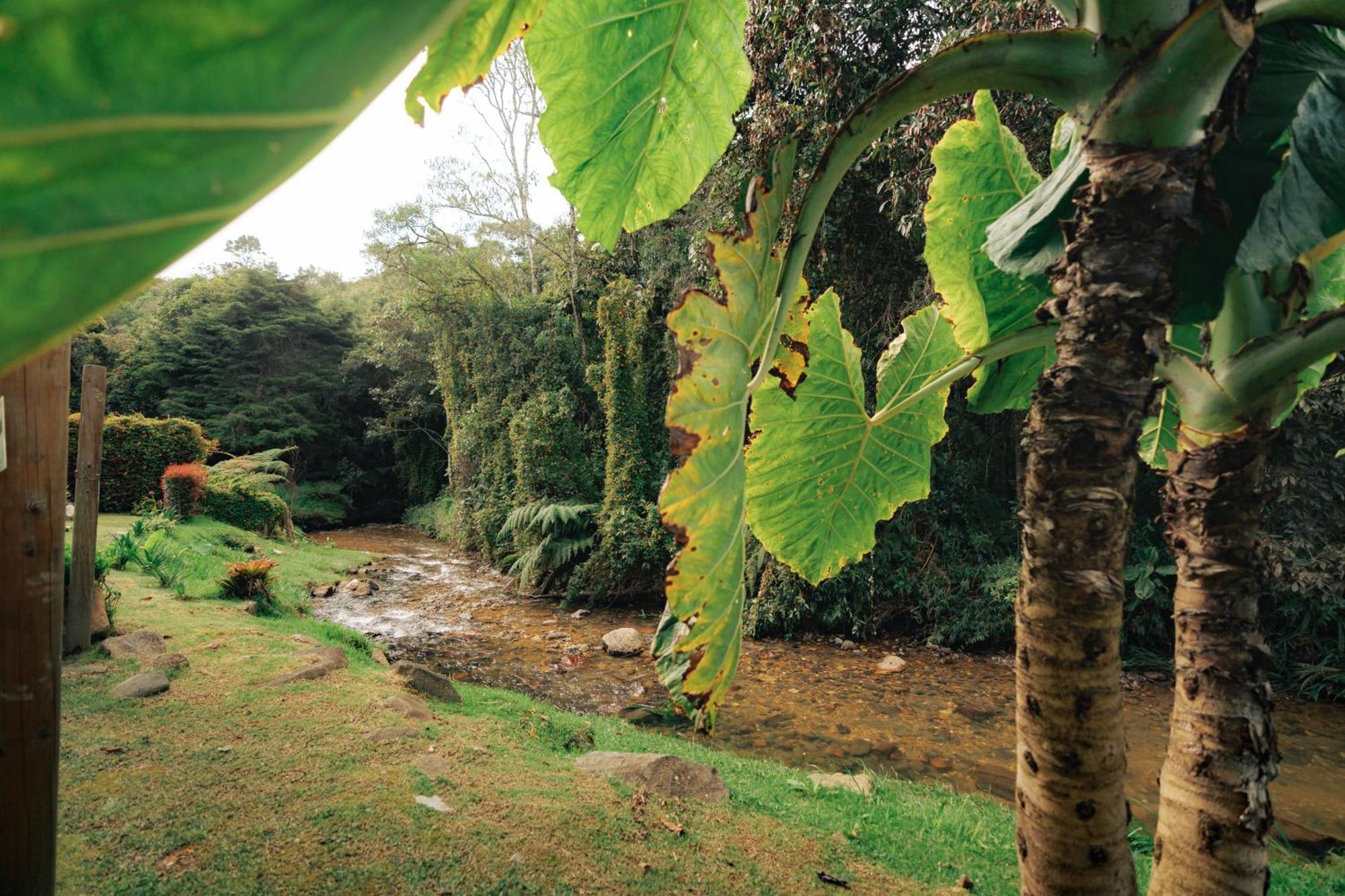Bubblesky Glamping 15 Min From Medellin 4*